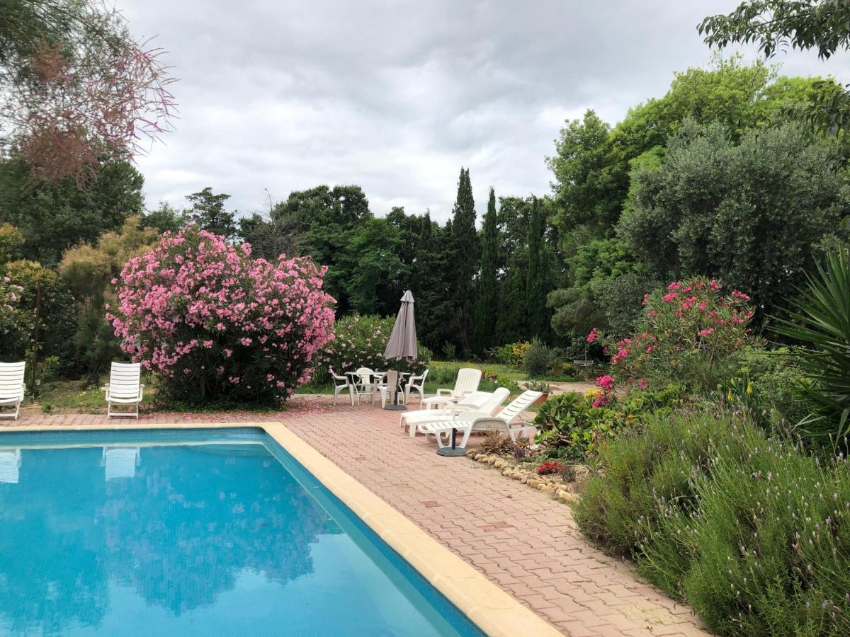Duplex 130M2 Dans Un Mas Entoure De Vergers - Piscine Saint-Feliu-d'Avall Extérieur photo