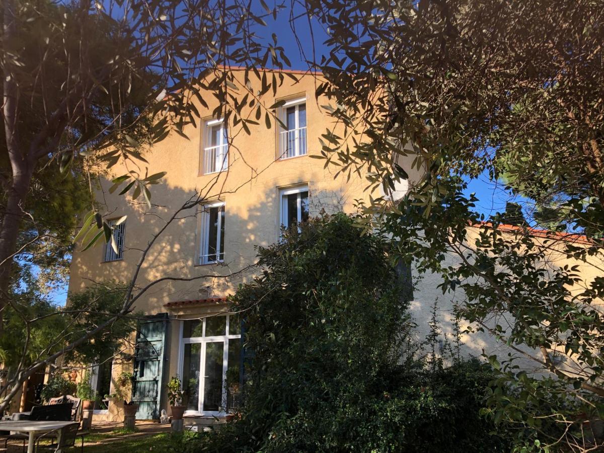 Duplex 130M2 Dans Un Mas Entoure De Vergers - Piscine Saint-Feliu-d'Avall Extérieur photo